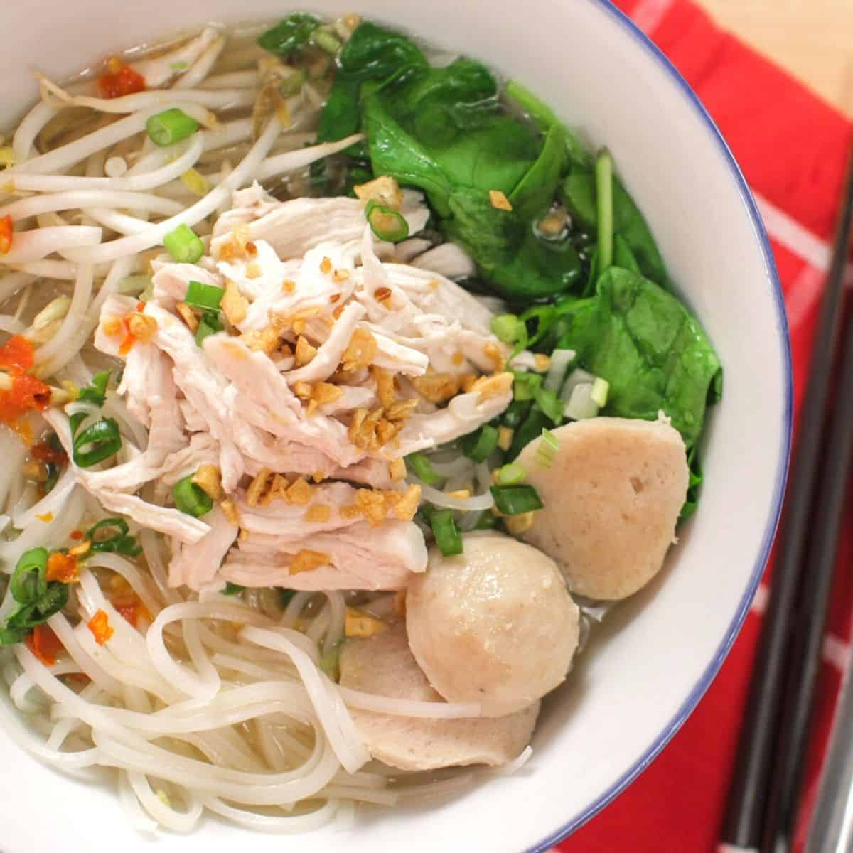 Chicken Slurpy Noodles